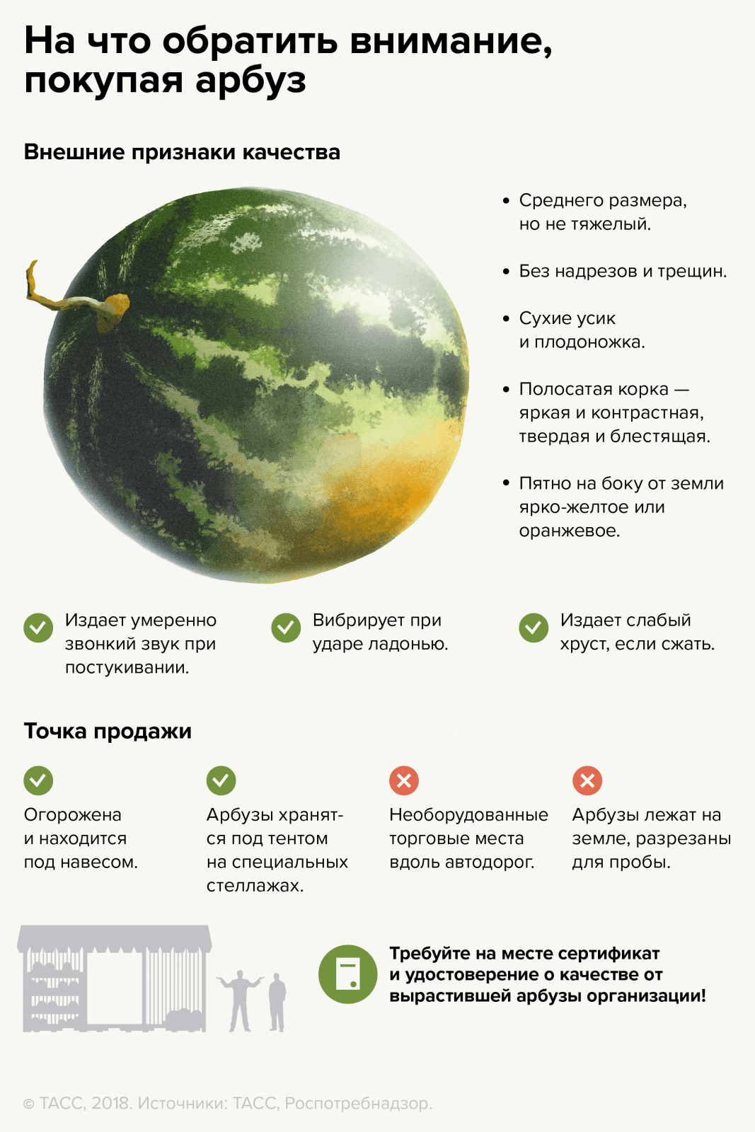 Watermelon_2COR