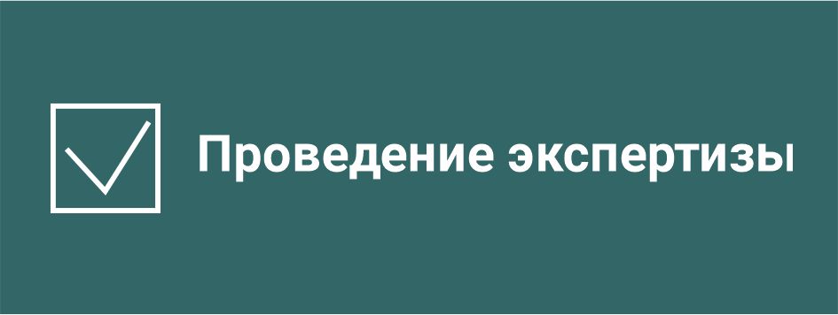 Проведение экспертизы